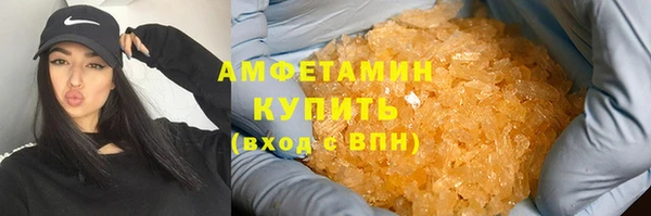 дживик Богородицк
