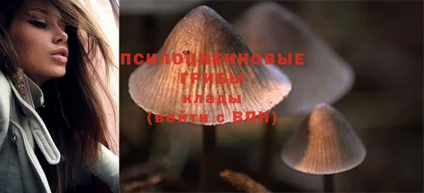 дживик Богородицк