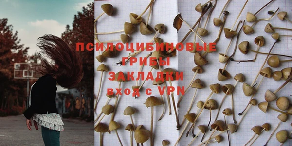 марки lsd Белокуриха