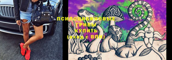 марки lsd Белокуриха