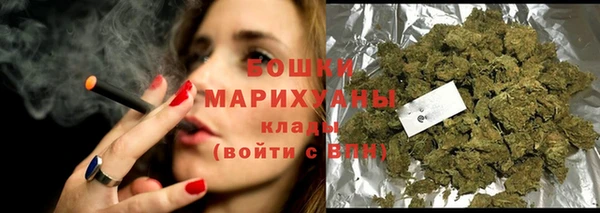 дживик Богородицк