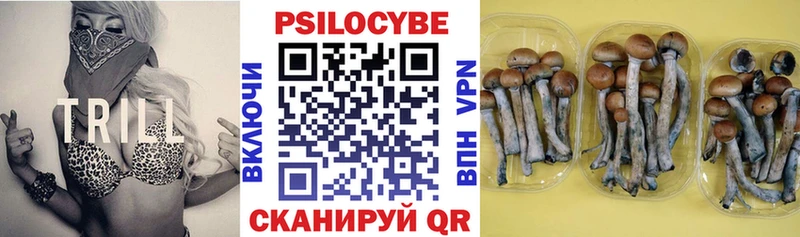 Псилоцибиновые грибы мухоморы  Волосово 
